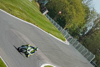 Advanced Group Silver_Grey Bikes